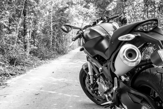 motorbike in a green natural tunnel