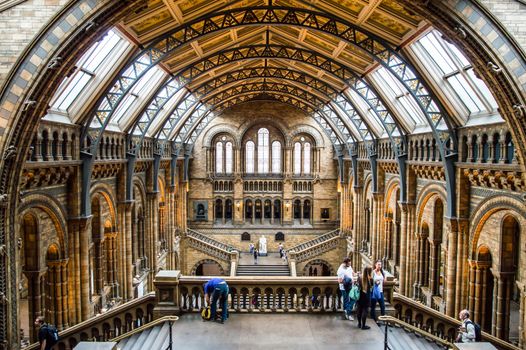 LONDON, UK - MAY 14, 2012: People visit Natural History Museum in London. With more than 4.1 million annual visitors it is the 4th most visited museum in the UK.