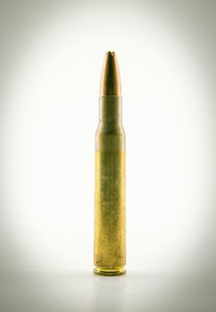 hollow-point ammunition for rifle