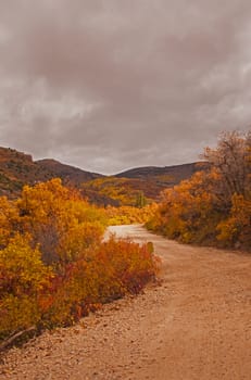 Autumn road 2