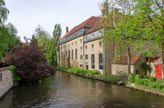 Lake in Begijnhof, Bruges city, Belgium 