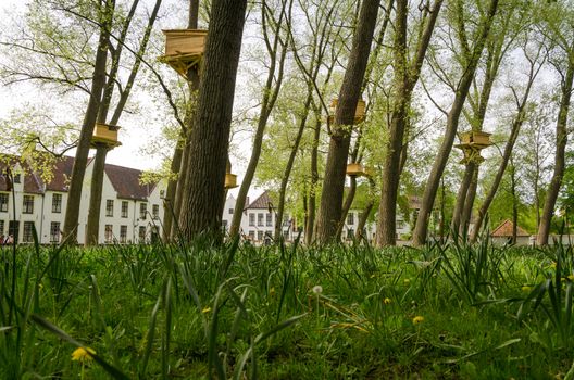 Tree Houses in the Beguinage (Begijnhof) in Bruges, Belgium