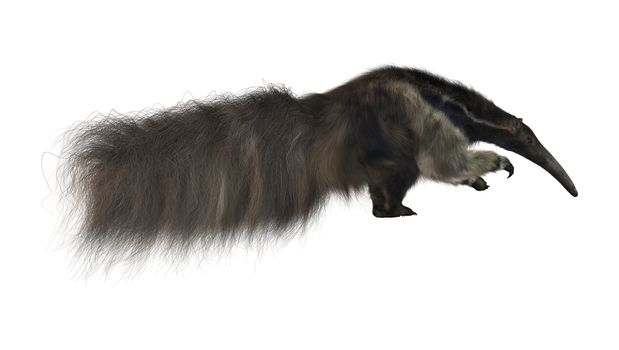 3D digital render of a giant anteater isolated on white background