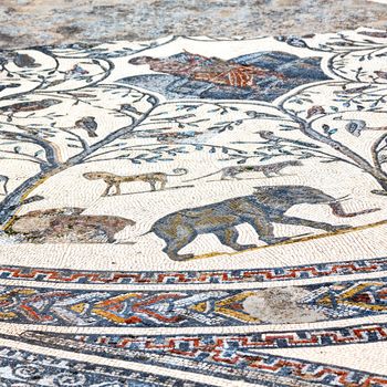 roof mosaic in the old city morocco africa and history travel