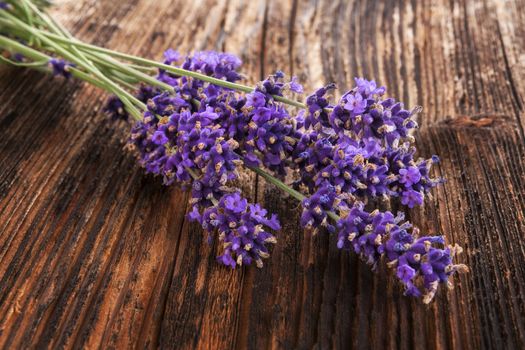 Lavender background. Lavender on brown aged wooden background, rustic country style.