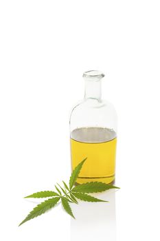 Hemp oil and cannabis leaf isolated on white background. Healthy cannabis oil. 