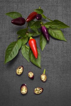 Red and purple chili pepper with leaves on black background, top view. Culinary gourmet cooking ingredient.