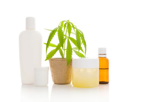 Hemp cosmetics. Moisturizer, cream, shampoo, oil and young cannabis plant in plant pot isolated on white background. Healthy natural ecological cosmetics.