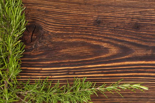 Fresh aromatic rosemary herb on wooden background. Culinary aromatic herb.