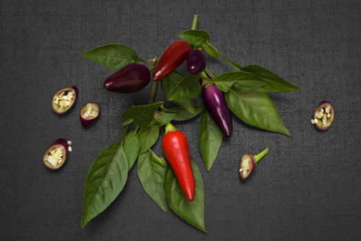 Red and purple chili pepper with leaves on black background, top view. Culinary gourmet cooking ingredient.