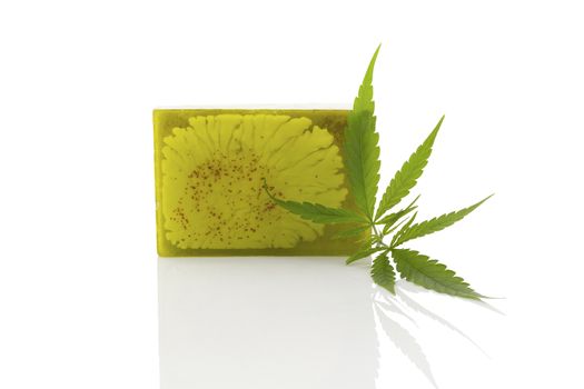 Green hemp soap and hemp leaf isolated on white background. Cannabis cosmetics. Ecological healthy skin care.