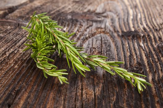 Fresh aromatic rosemary herb on wooden background. Culinary aromatic herb.