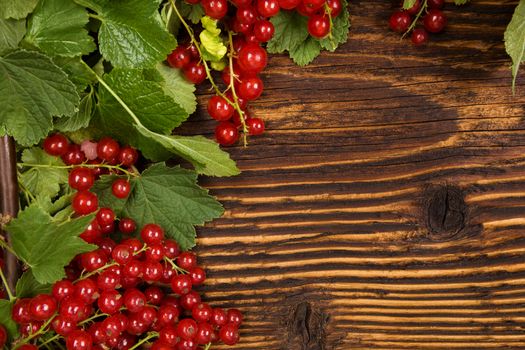 Red currant on wooden background. Healthy summer fruit eating.