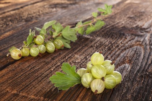 Green gooseberries with green leaves on wooden vintage table. Healthy summer fruit eating. 