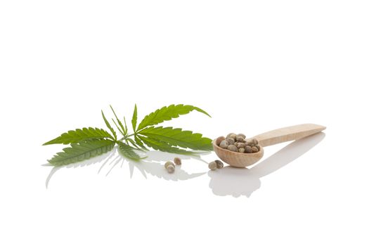 Cannabis seeds on wooden spoon and cannabis leaf isolated on white background.