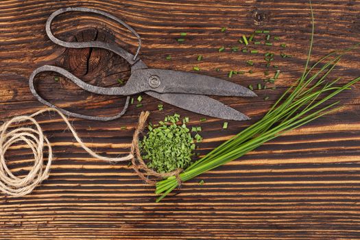 Fresh and dry chives herb with vintage scissors on rustic wooden table. Culinary aromatic herbs.