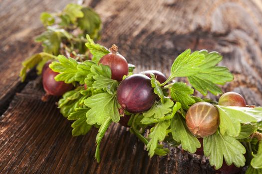 Red gooseberries with green leaves isolated on white background. Healthy summer fruit eating. 