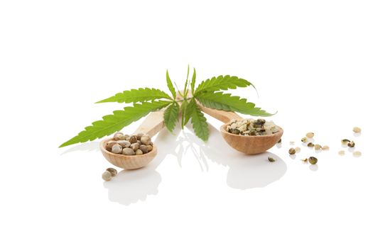 Cannabis seeds on wooden spoon and cannabis leaf isolated on white background.