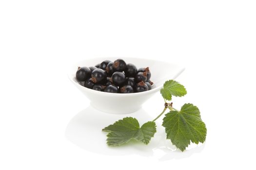 Delicious black currant in bowl isolated on white background. Healthy summer fruit eating. 