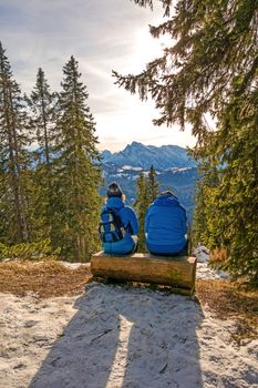 two hikers resting on a trunk and enjoying the sight while the sun is shining