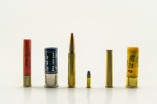 ammunition of various calibers and color