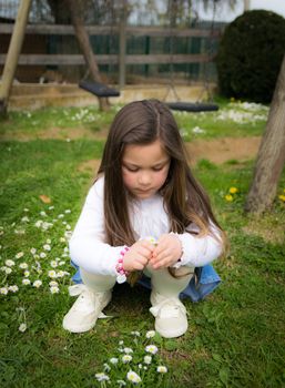 child collects daisies in an outdoor playground