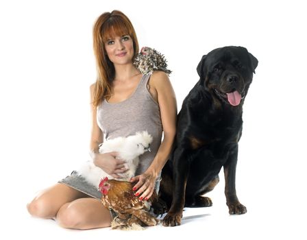 young woman, dogs  and chicken in front of white background