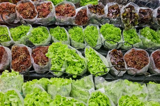 fresh lettuces in supermarket