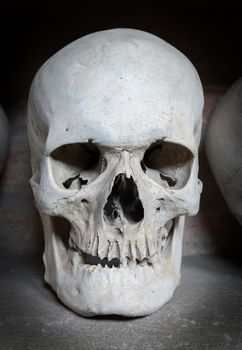 human skull inside a Christian catacomb