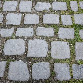 Cobbled Path - a path paved with stone cobbles