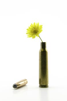 composition with shotgun shell and bullet with yellow little flower on white background