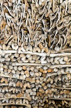 ossuary of Custoza was erected in 1879 at the behest of Don Gaetano Pivatelli, keeps the remains of the fallen of the First and Third Italian War of Independence (in 1848 and 1866 respectively).