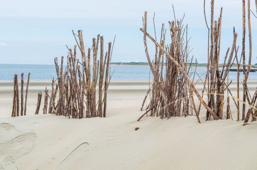 Sunny beach with sand dunes and blue sky seagrass.