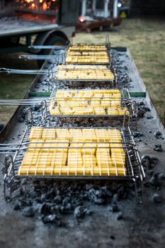 Yellow Polenta that toasts on wood embers.