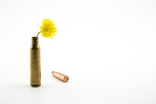 shotgun shell with yellow little flower