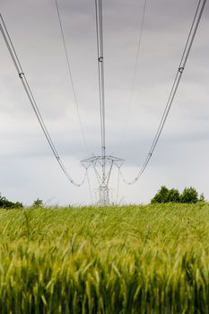 voltage pylons in a field of wheat during a thunderstorm
