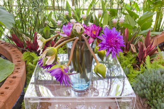 Floristry Pink and purple lotus flowers in glass vase.
