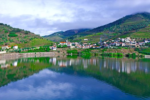 Vineyards in the Valley of the River Douro, Portugal