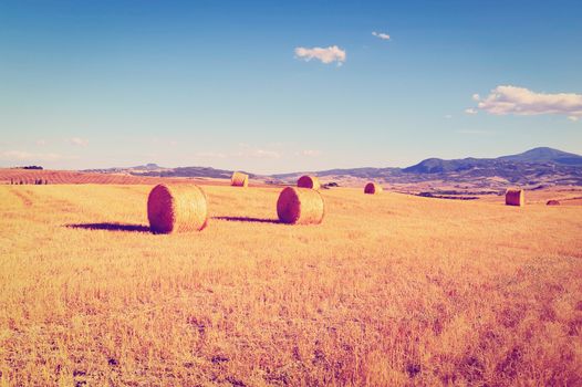 Tuscany Landscape with Hay Bales, Instagram Effect 