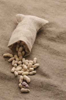 Roasted peanuts on sackcloth background