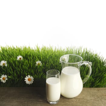 Milk jug and glass on fresh green grass with chamomiles isolated on white