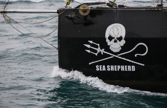 FRANCE, Saint-Tropez: The Sea Shepherd conservation society (SSCS)'s logo is seen on the hull of boat 'Columbus' off the coast of Saint-Trophez, southern France, on October 1er, 2015.