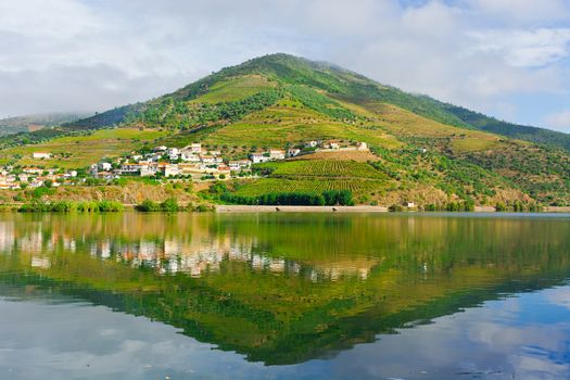 Vineyards in the Valley of the River Douro, Portugal