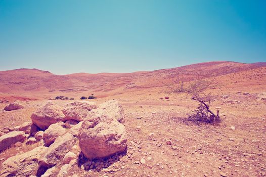 Desert on the West Bank of the Jordan River, Instagram Effect