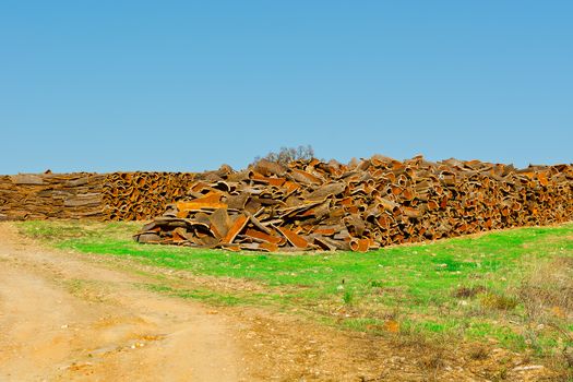 Drying of Corkwood for Making Wine Corks in Portugal