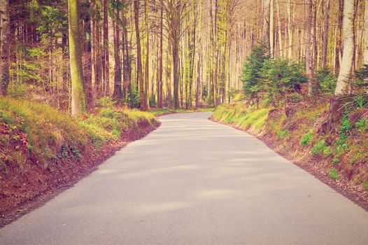 Asphalt Road in the Forest, Instagram Effect