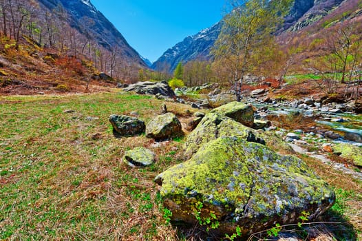 Mountain Stream in the Italian Alps, Piedmont