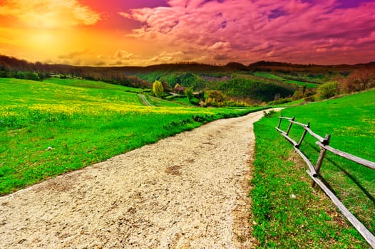 Dirt Road Leading to the Farmhouse in Tuscany, Italy