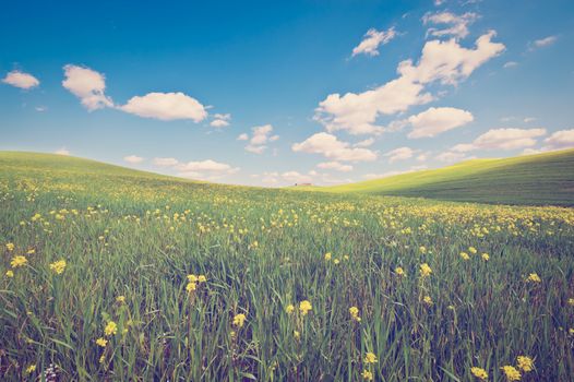 Farmhouse and Green Sloping Meadows of Tuscany, Instagram Effect