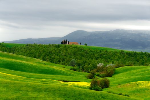 Church and Green Sloping Meadows of Tuscany